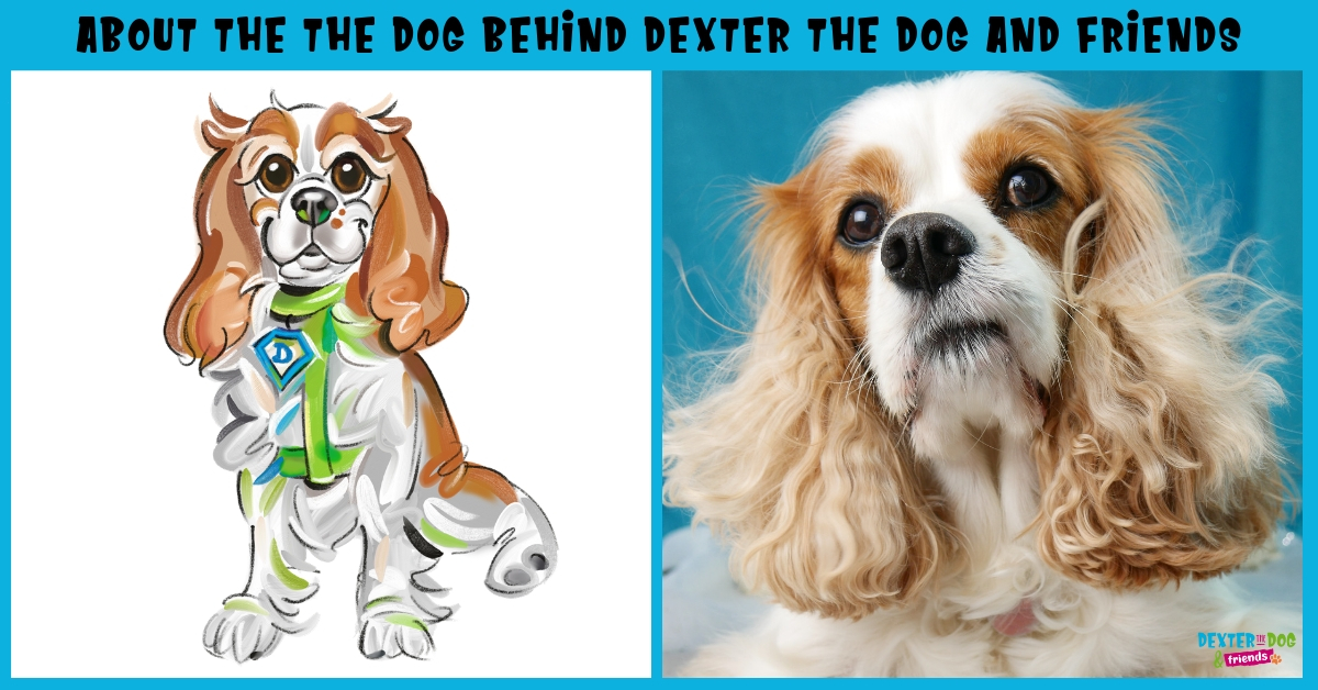 Dexter the Dog’s Bio