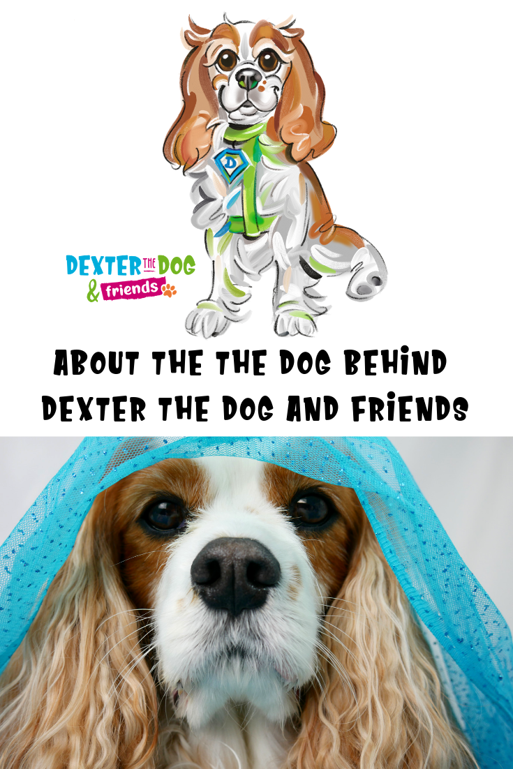 Learn more about the real Dexter behind the children's book series, Dexter the Dog and Friends. #DextertheDogandFriends #DextertheDog #specialneeds #childrensbooks #booksonspecialneeds