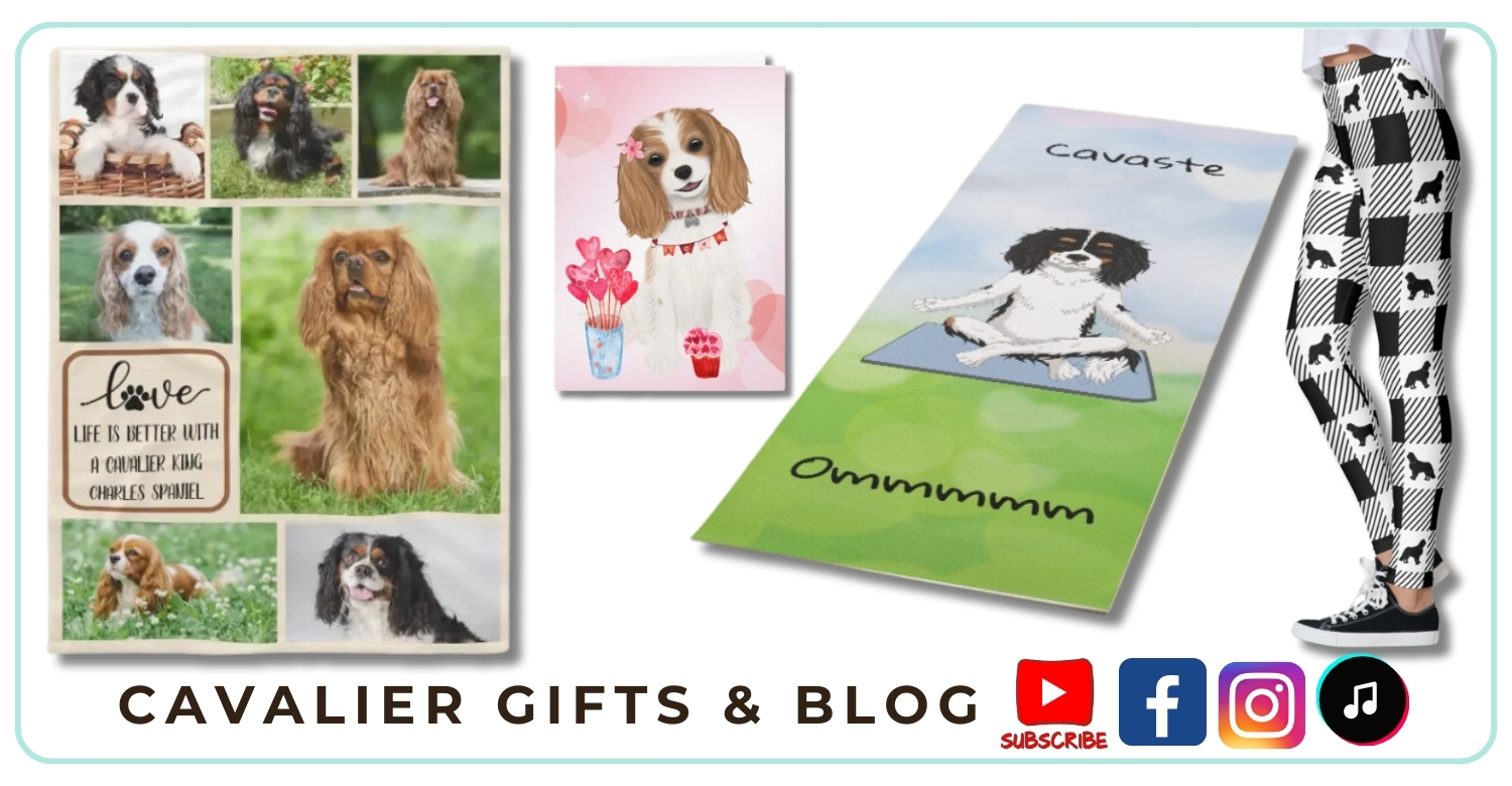 Fun Cavalier King Charles Spaniel gifts