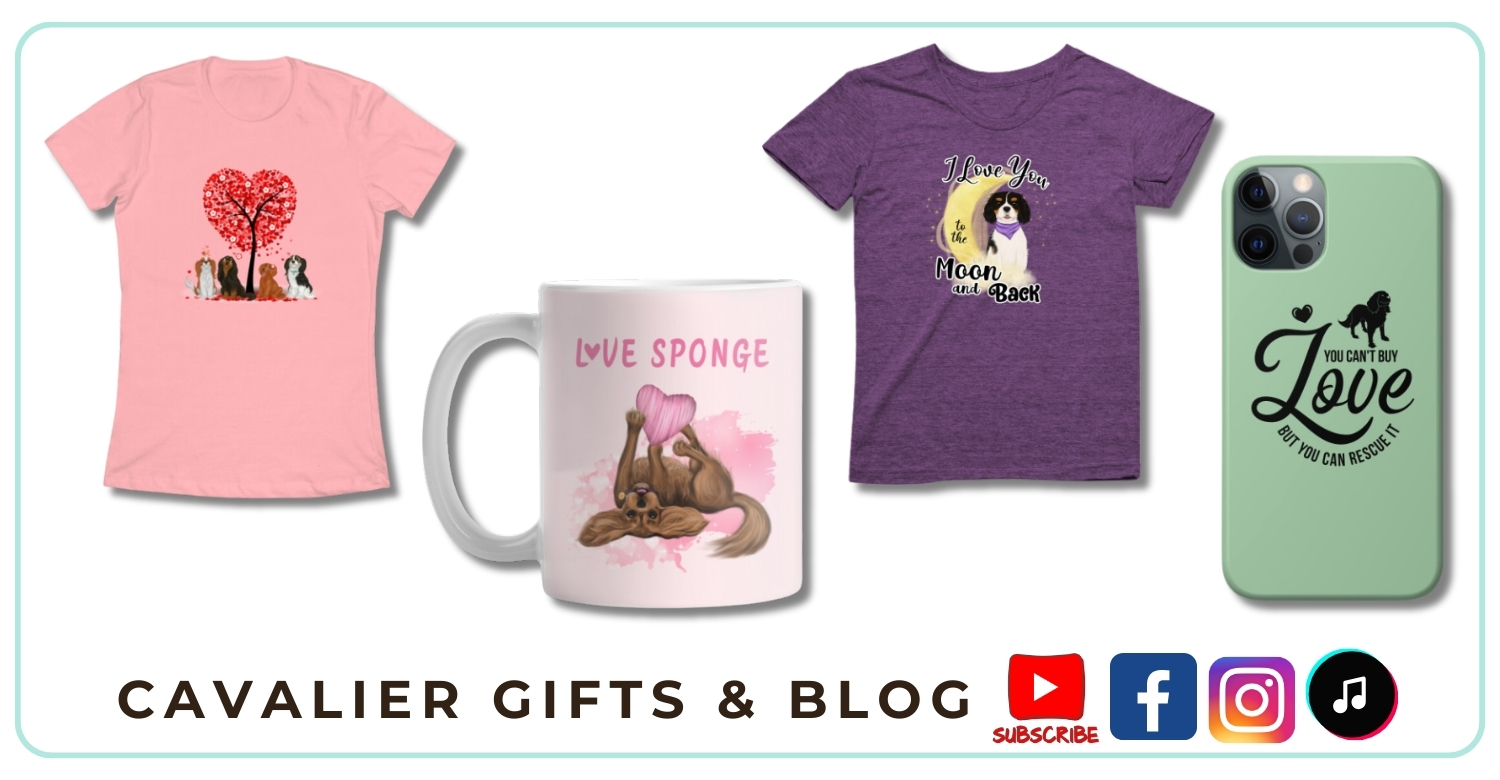 Cute Cavalier gifts and merchandise