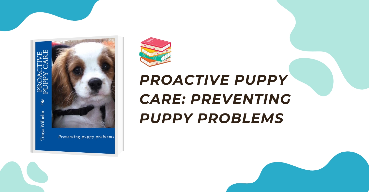 Proactive Puppy Care: Preventing Puppy Problems