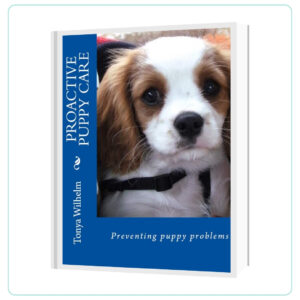 Cavalier King Charles Spaniel Puppy Training Book