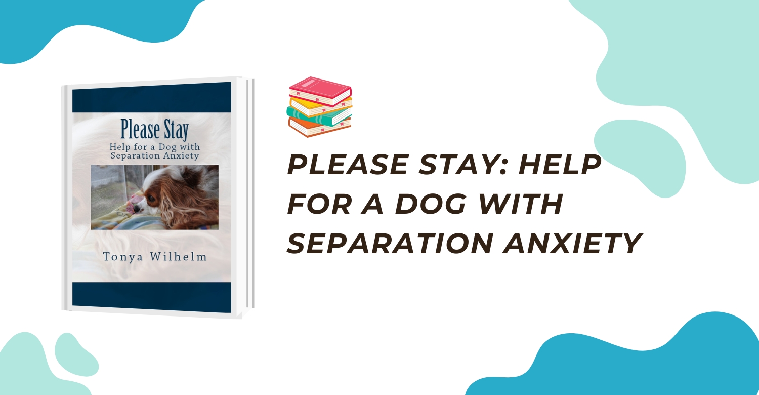 How to stop separation anxiety.