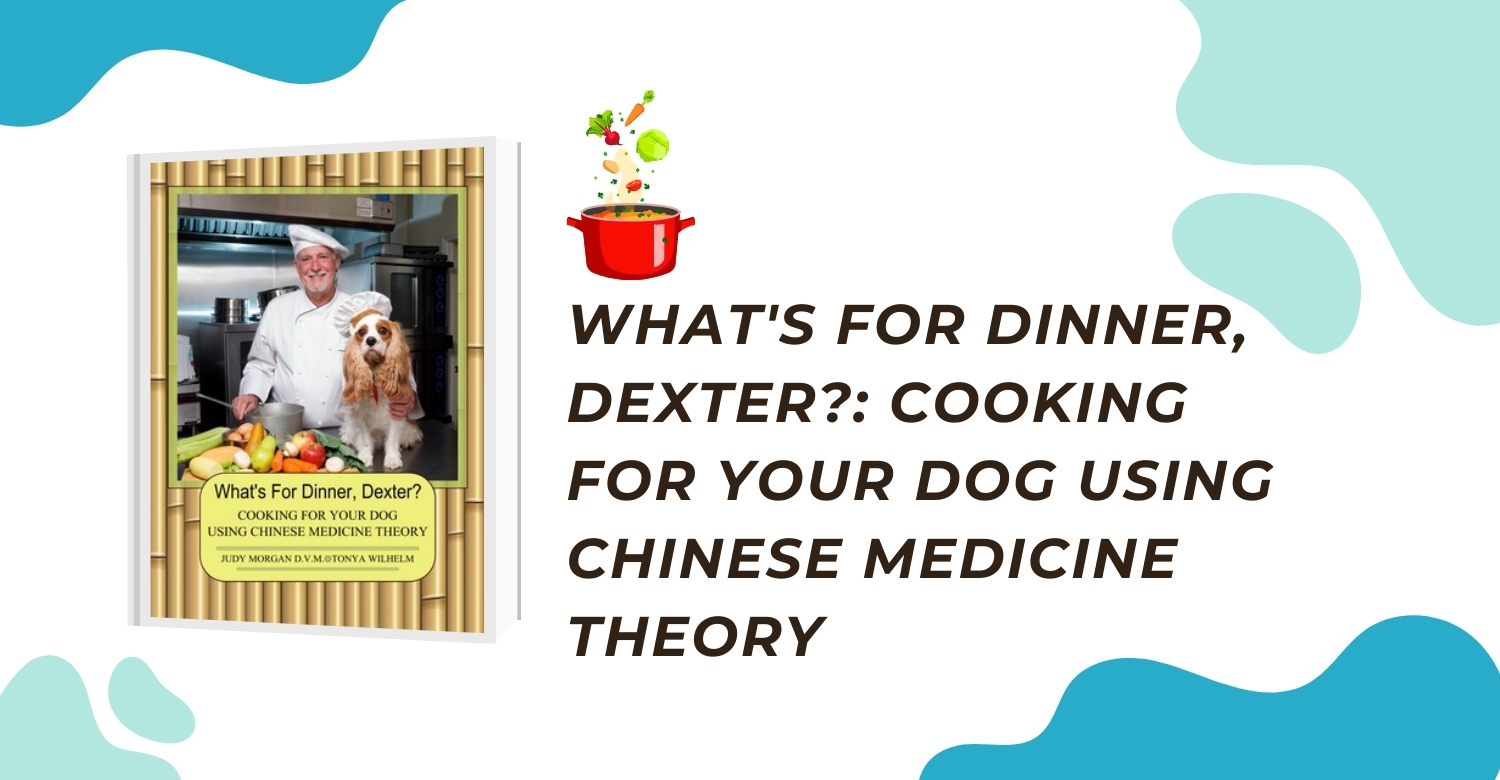 Cooking for your Cavalier King Charles Spaniel