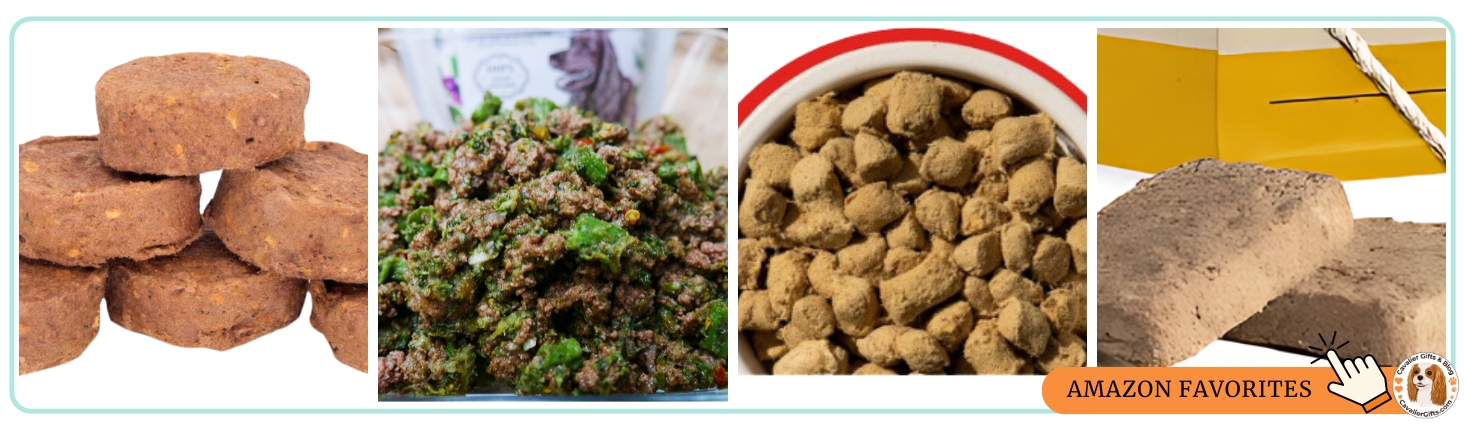 Freeze dried dog food options.