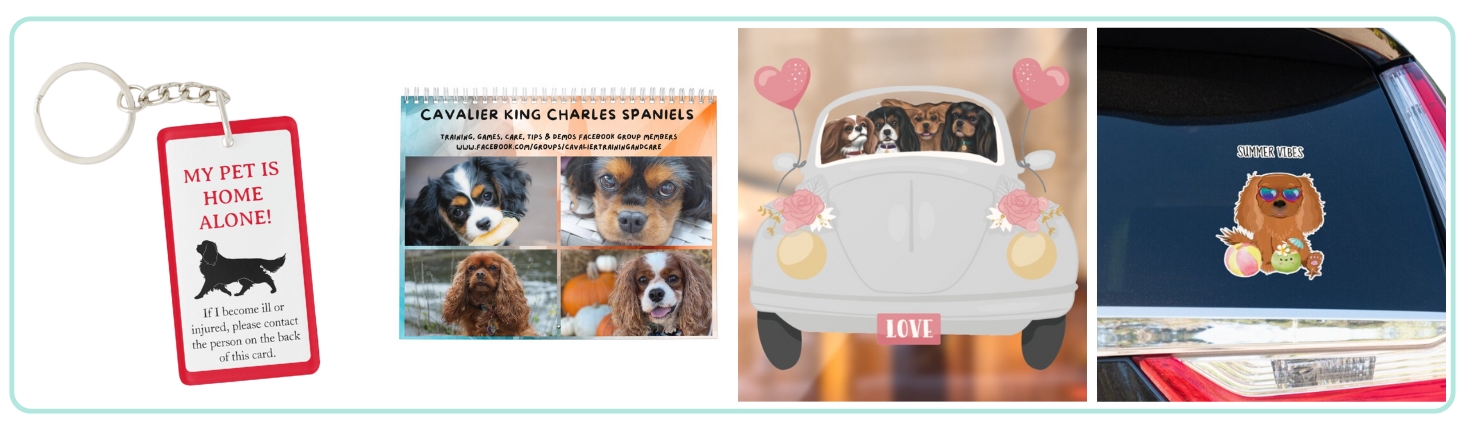 Unique Cavalier King Charles Spaniel Gifts