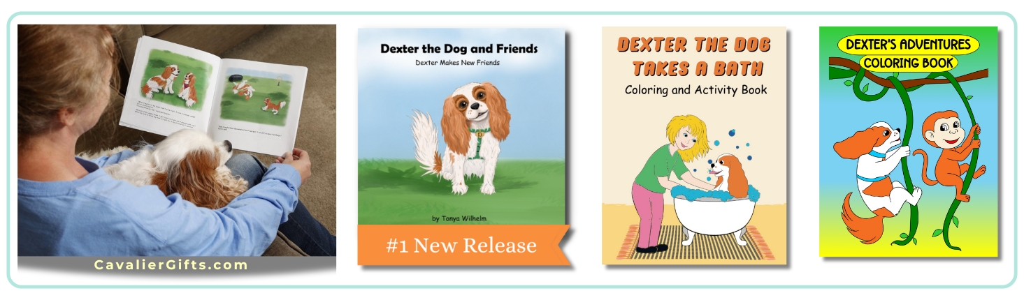 Kid's books featuring Cavalier King Charles Spaniels, focusing on diversity, acceptance, and fun activities.