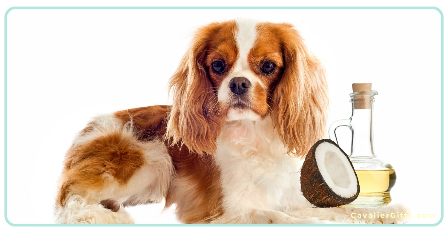 Are Cavalier King Charles Spaniels healthy dogs?