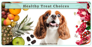 The Best Treats for Cavalier King Charles Spaniels | Healthy and Natural Treats for Cavaliers (Early access for our Patreon community)