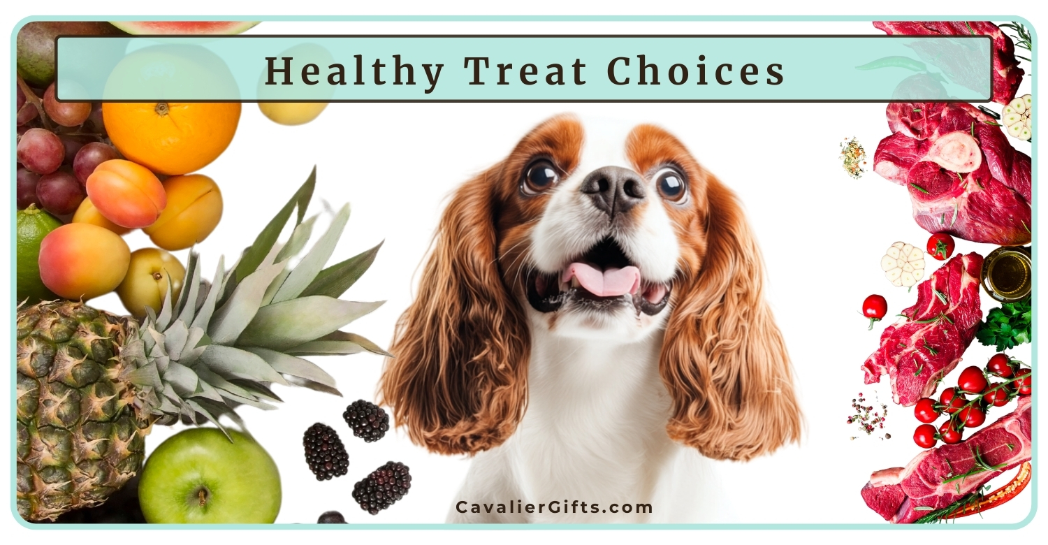 What treats to give a Cavalier King Charles Spaniel