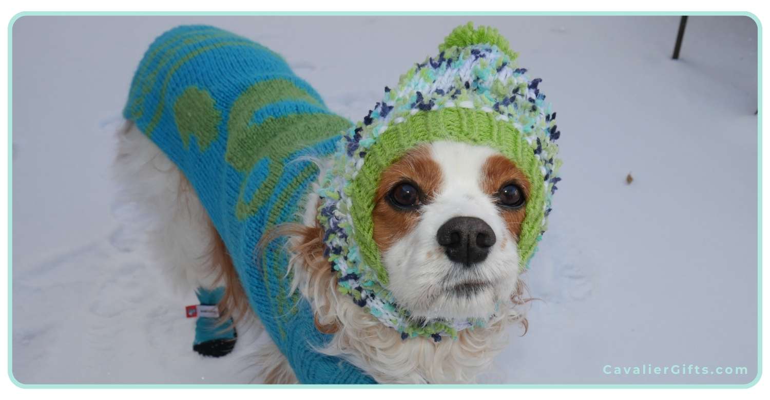 Cavalier sweaters, boots and hats!