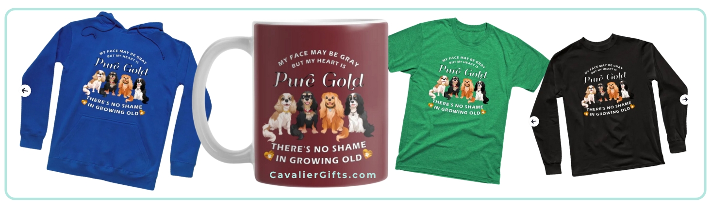 Senior Cavalier King Charles Spaniel Gifts