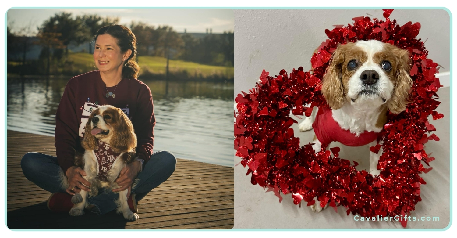 Learn about Mitral Valve Disease (MVD) in Cavaliers, what it is, risk factors, staging, and the best diet & supplements for heart health. #CavalierGifts