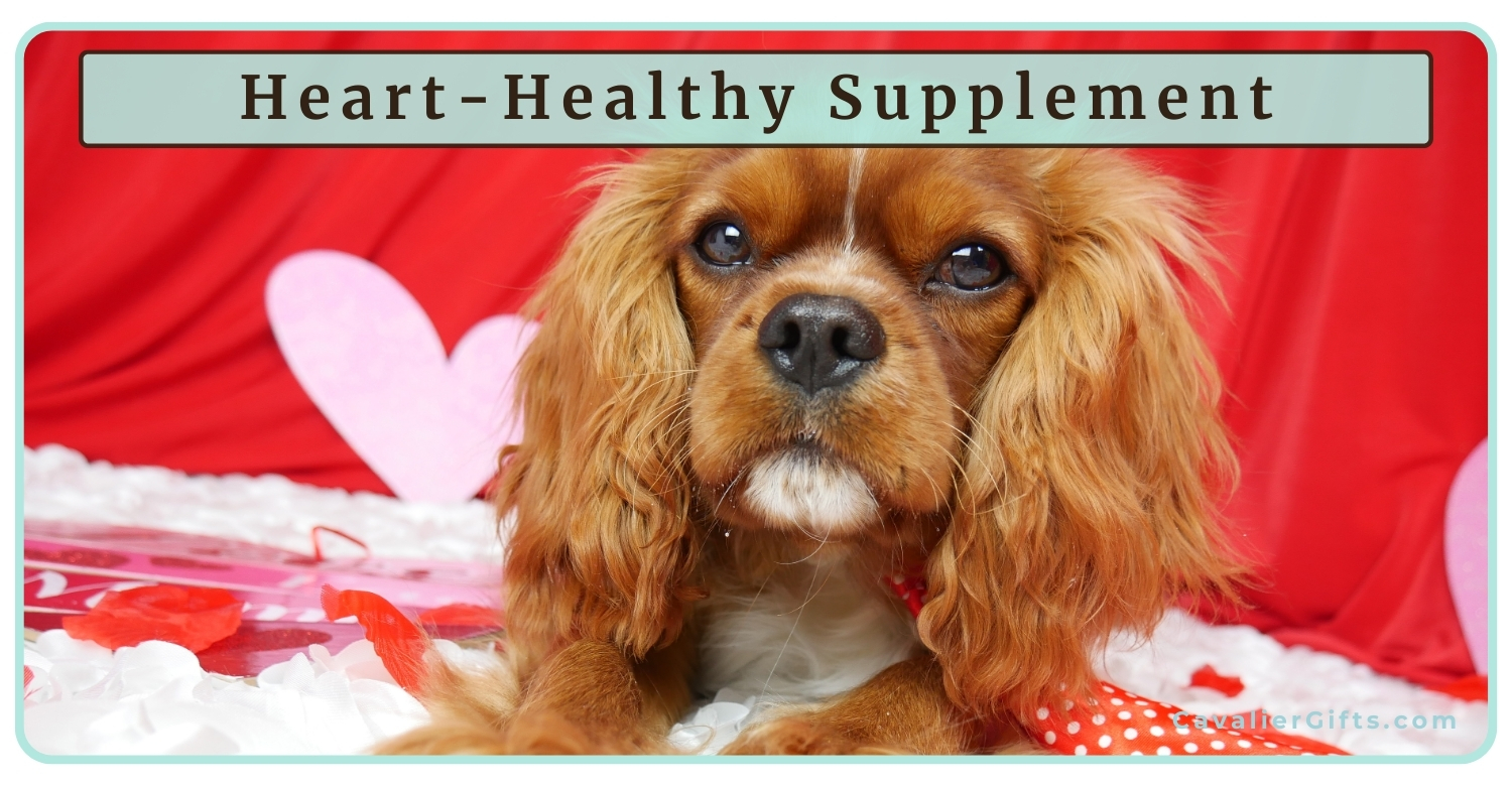 natural heart support for dogs