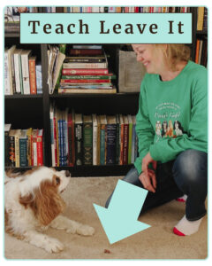 Protected: 3/26/25 How to Teach Your Cavalier King Charles Spaniel to “Leave It” | Positive Training for Cavaliers (Early access for our Patreon community)