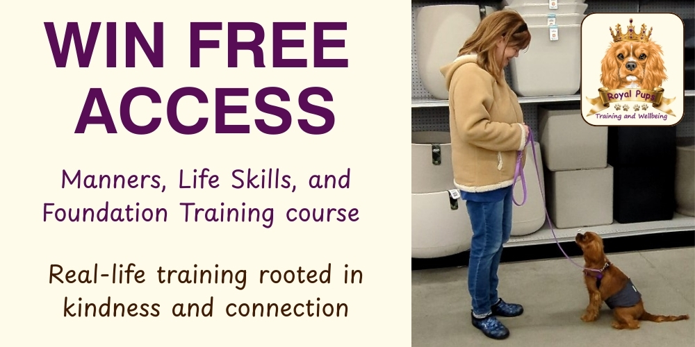 Online Positive Dog Training Courses