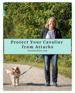 Protected: 6/4/25 How to Protect Your Cavalier King Charles Spaniel from Off Leash Dogs and Dog Attacks  (Early access for our Patreon community)
